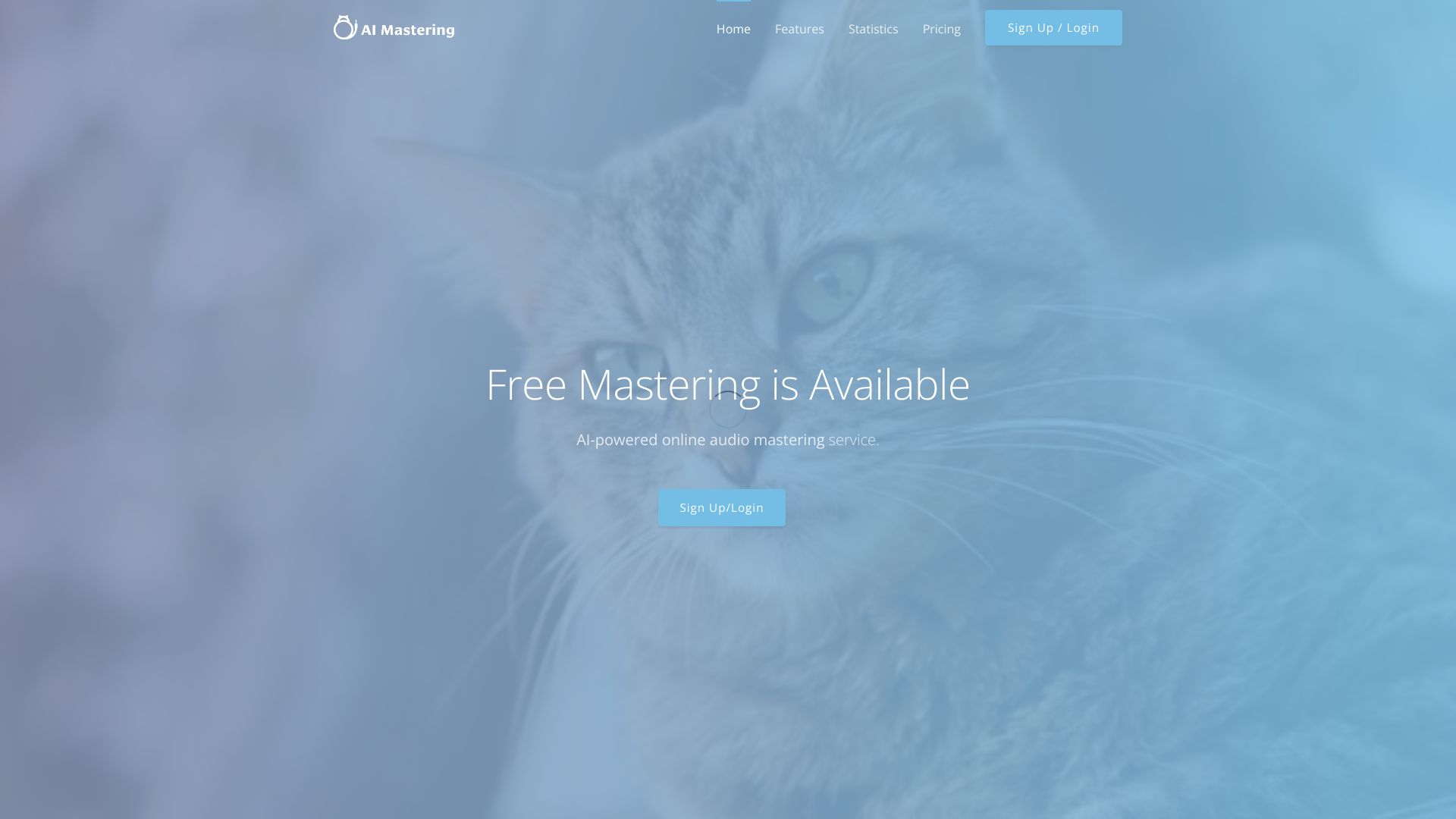 Startup Image