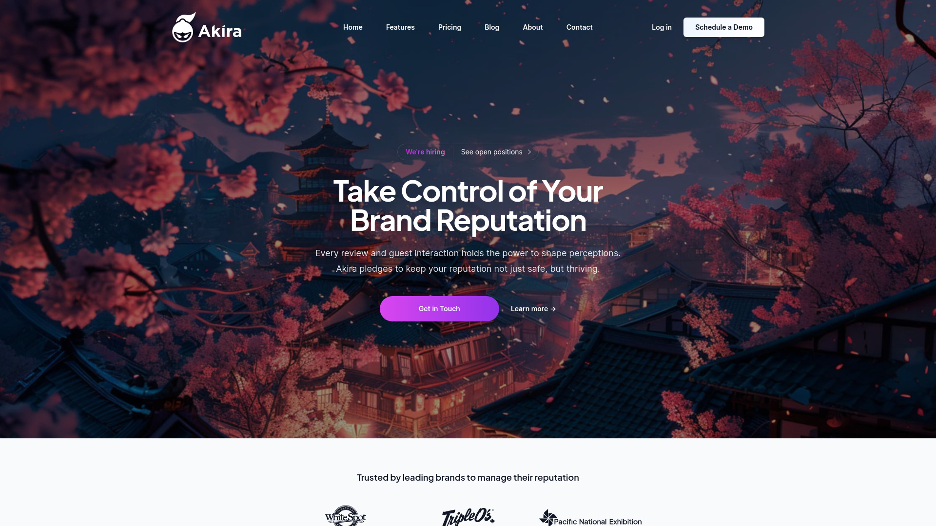 Startup Image