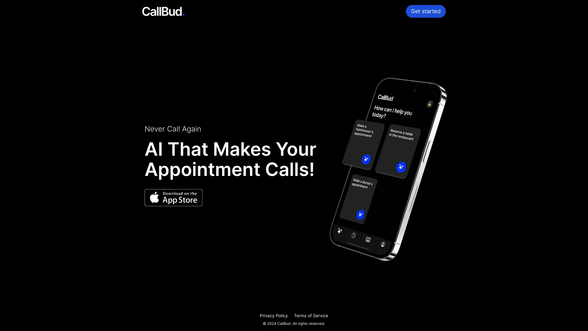 CallBud AI startup – Other