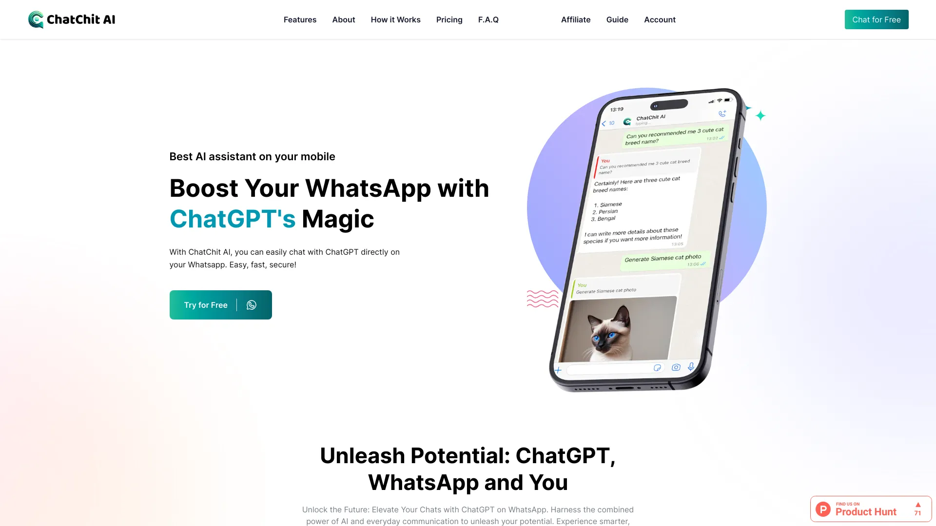 Startup Image