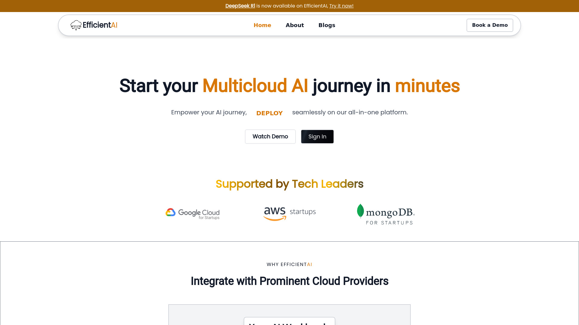 EfficientAI startup – AI Developer Tools