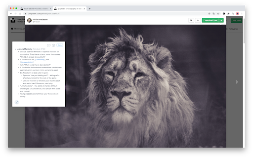 Startup Image