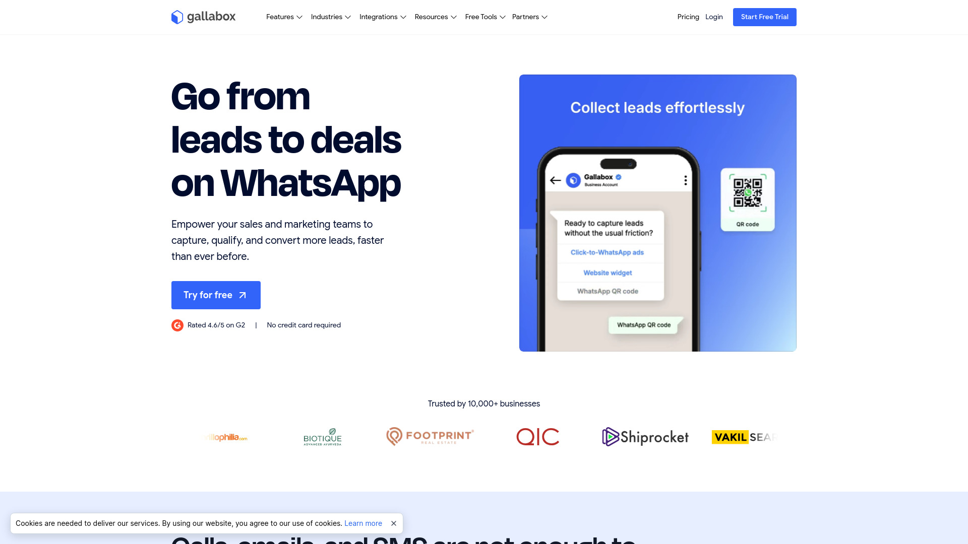 Startup Image