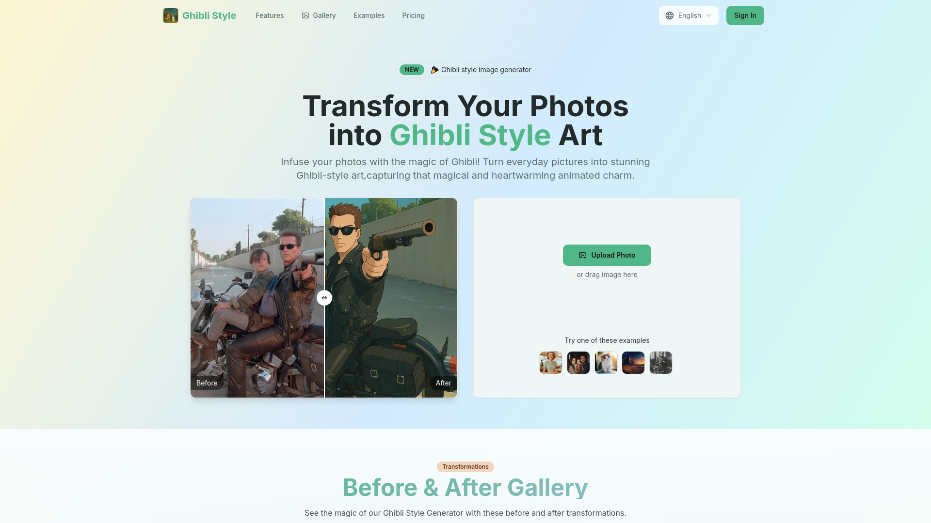Startup Image