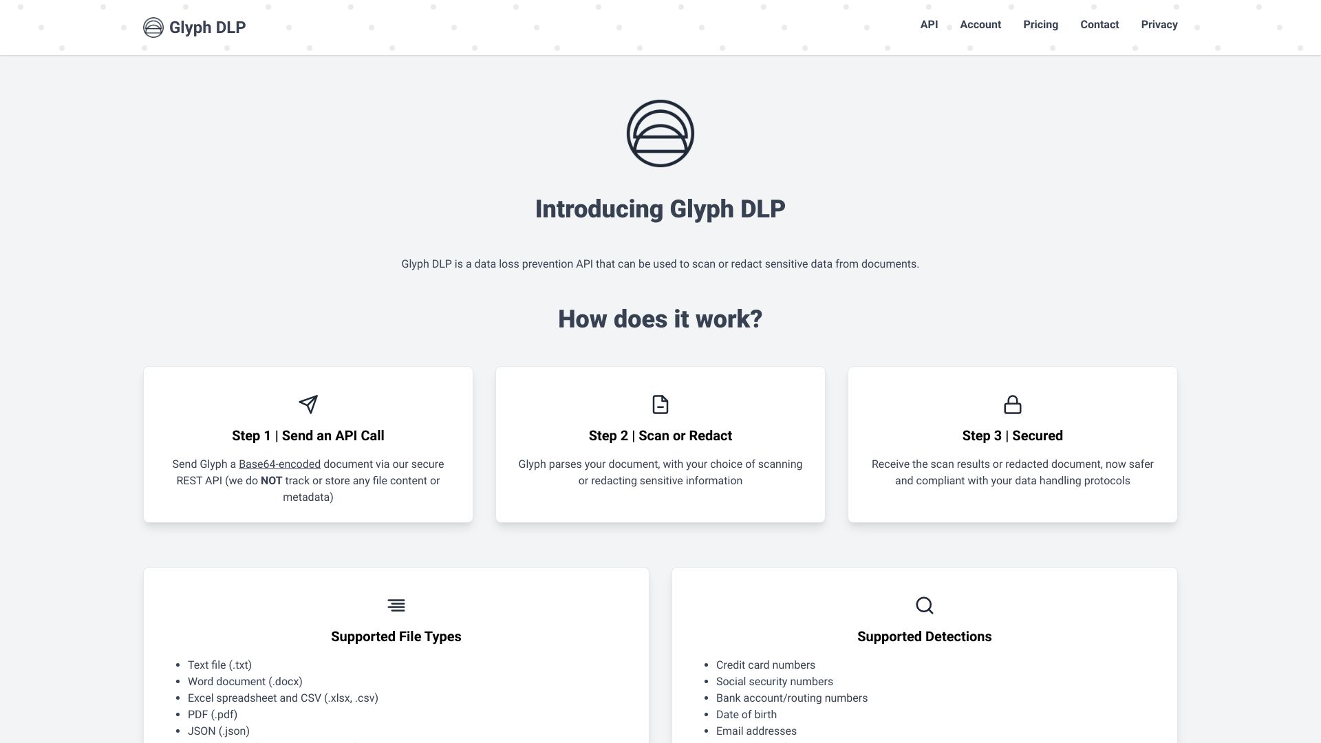 Glyph DLP startup – AI API Design
