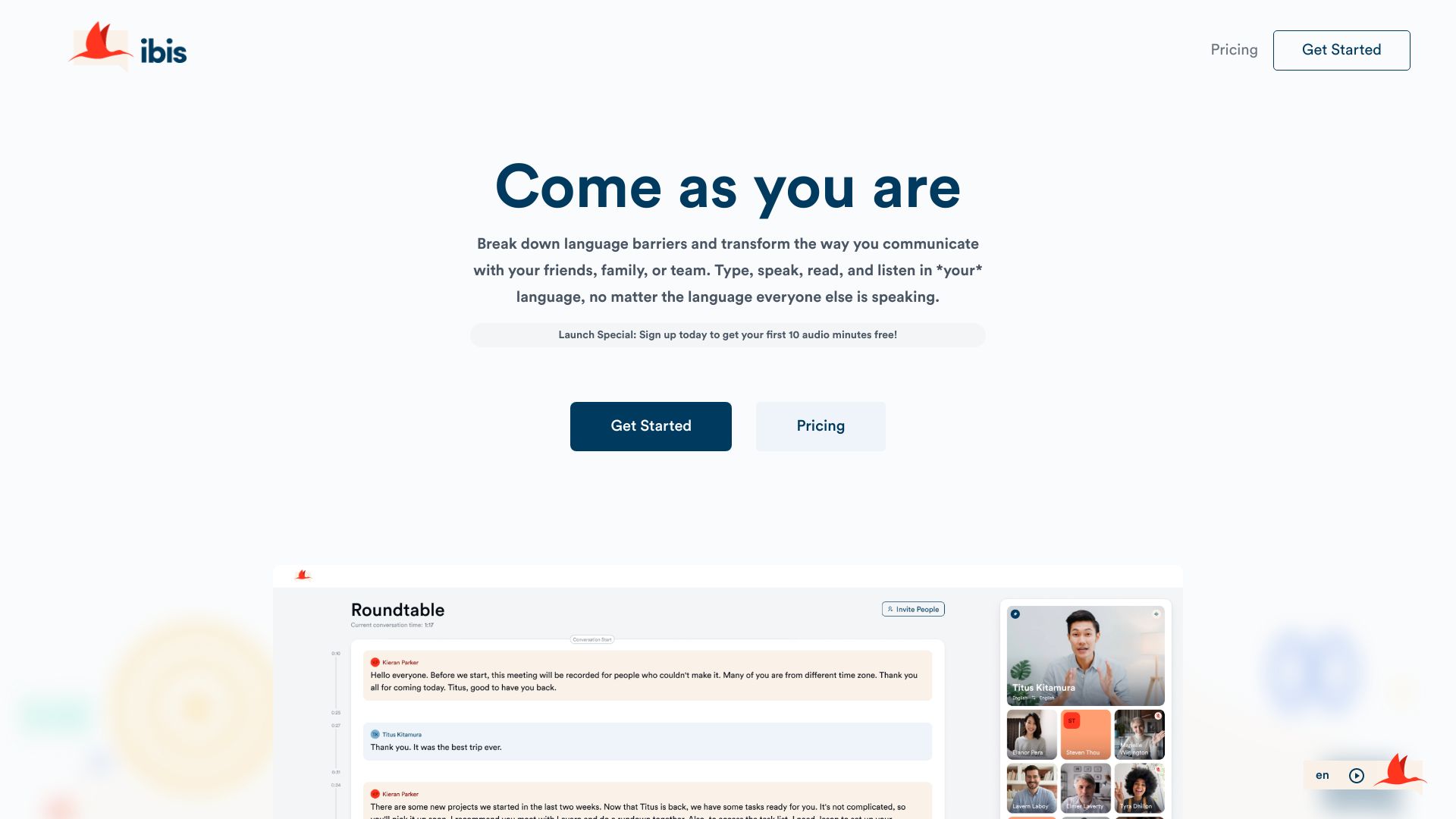 Ibis startup – AI Chatbot