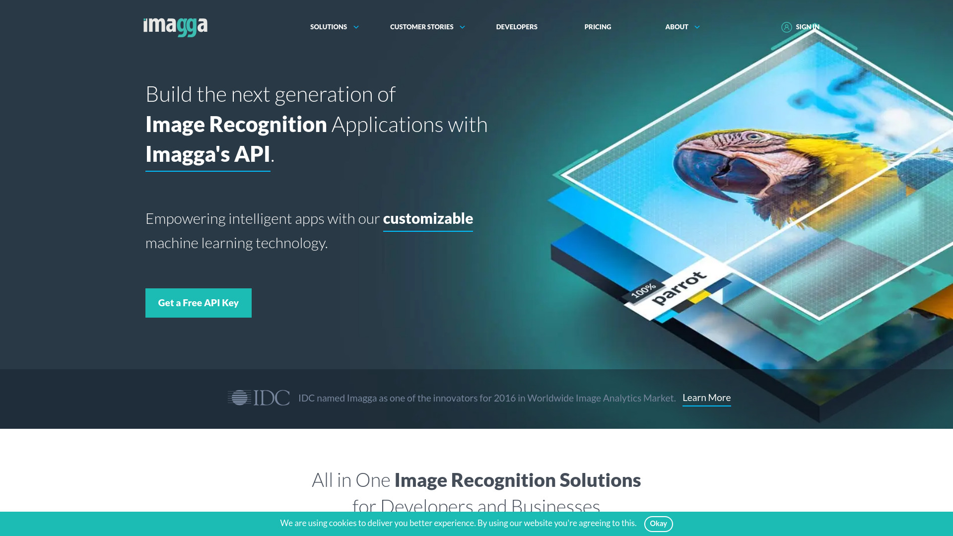 Startup Image