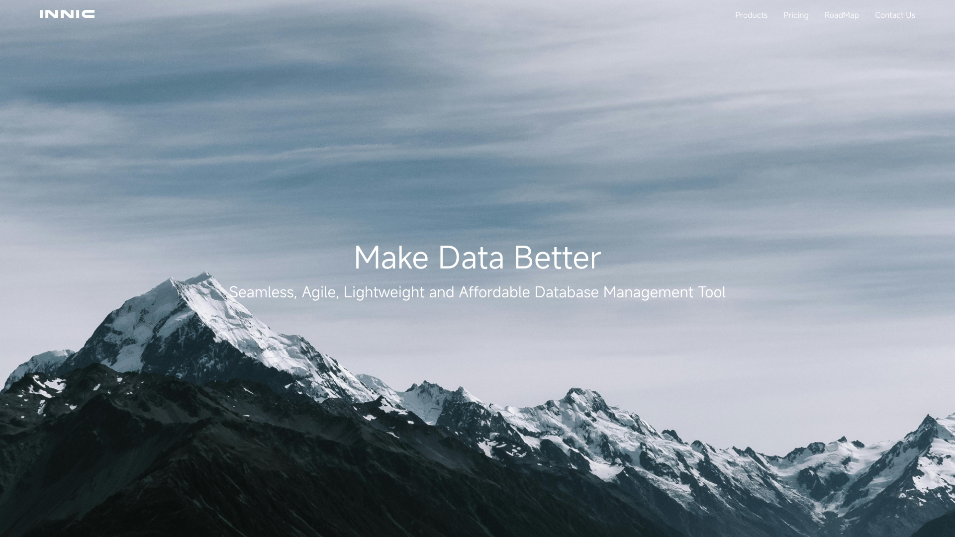 Innic Data startup – AI Code Assistant