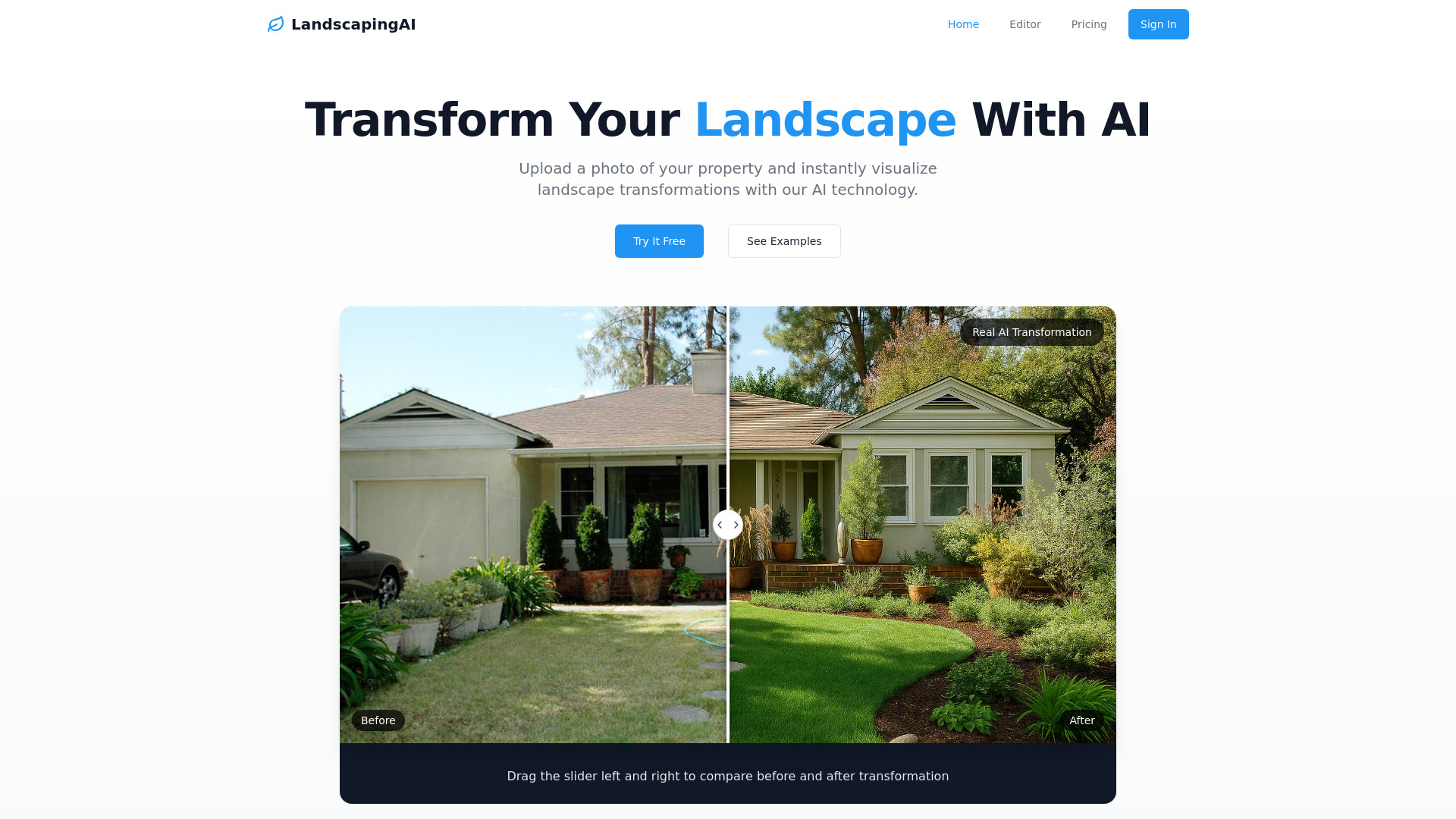 Startup Image
