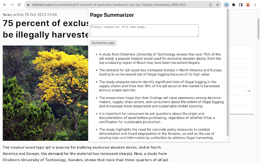 Page Summarizer startup – AI Summarizer