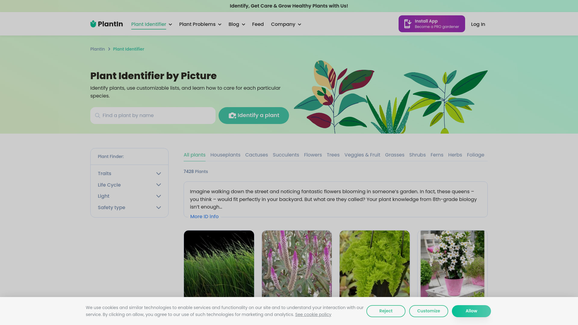  Startup Image
