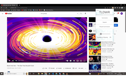 TL;DWR startup – AI Summarizer