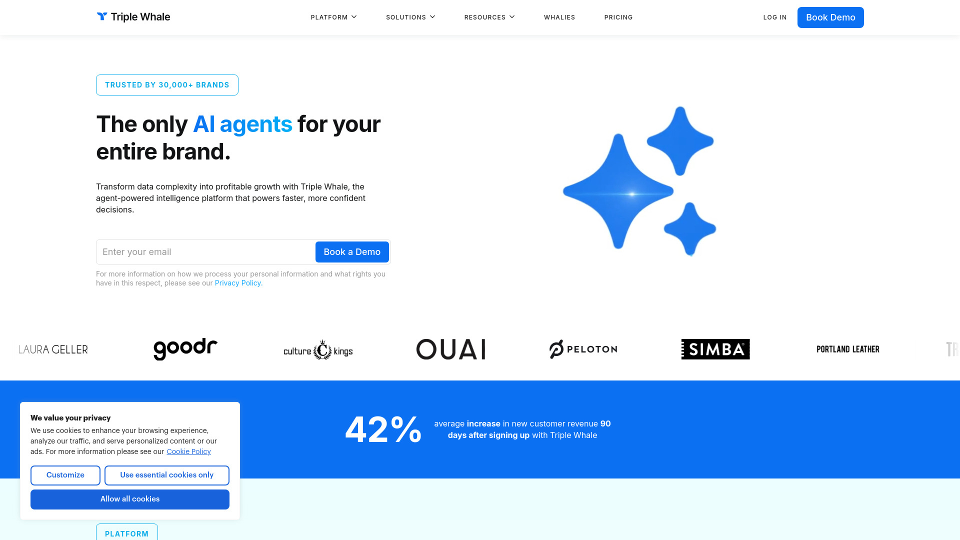 Triple Whale startup – AI Agent