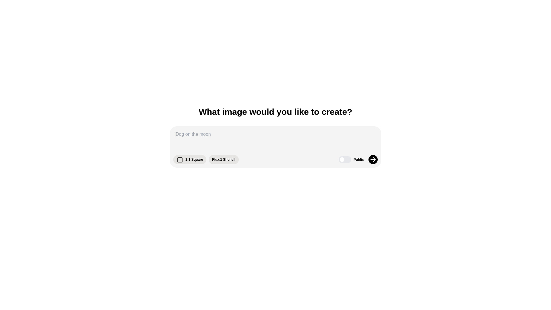 Startup Image