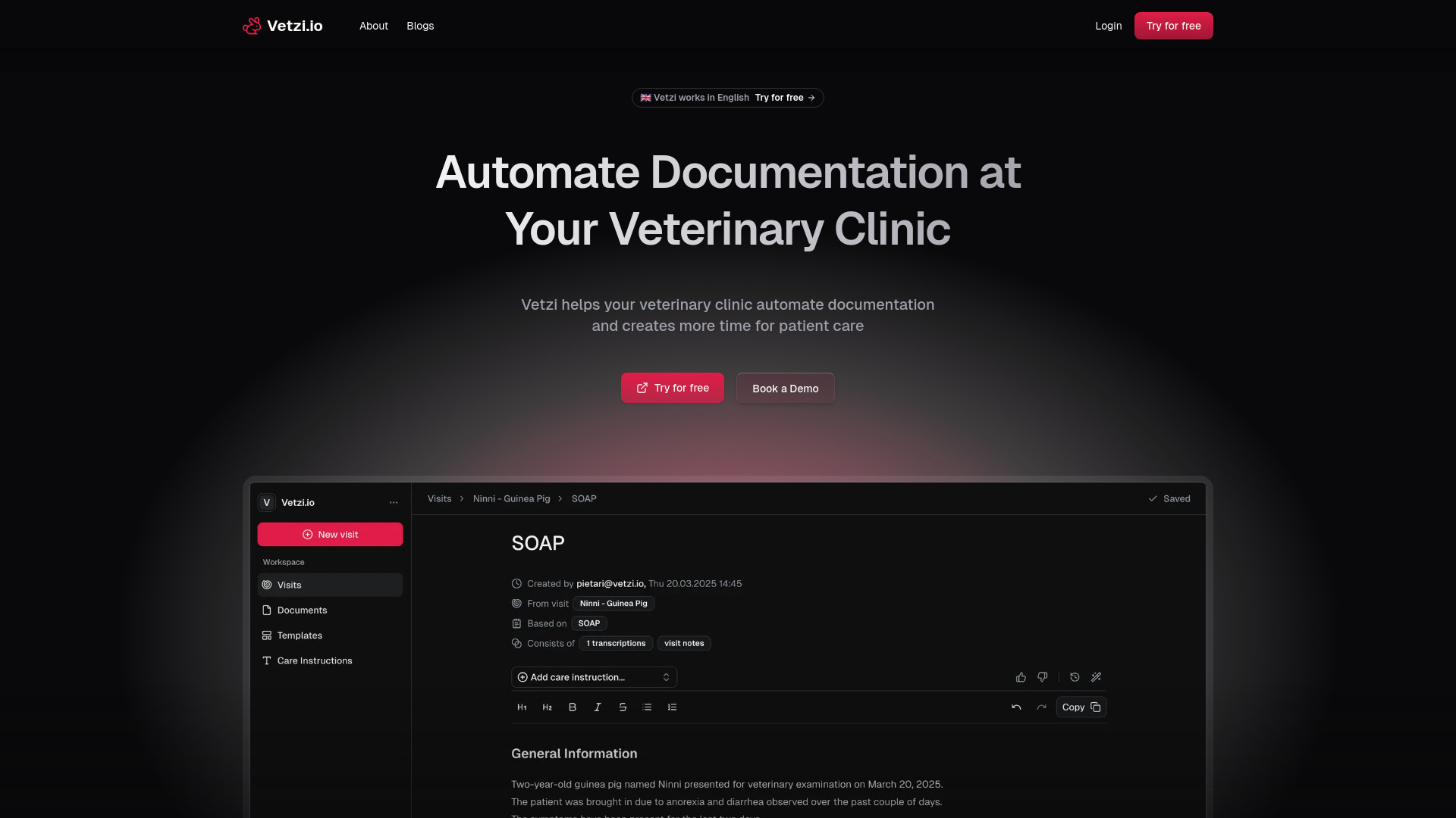 Vetzi.io startup – AI Documents Generator