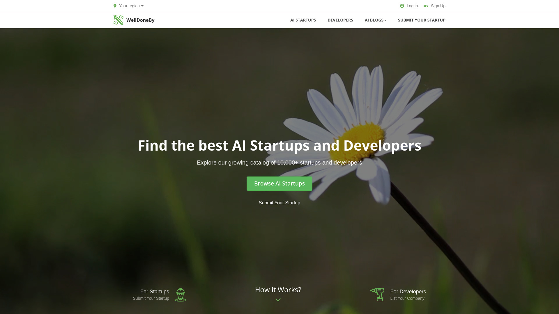 Startup Image