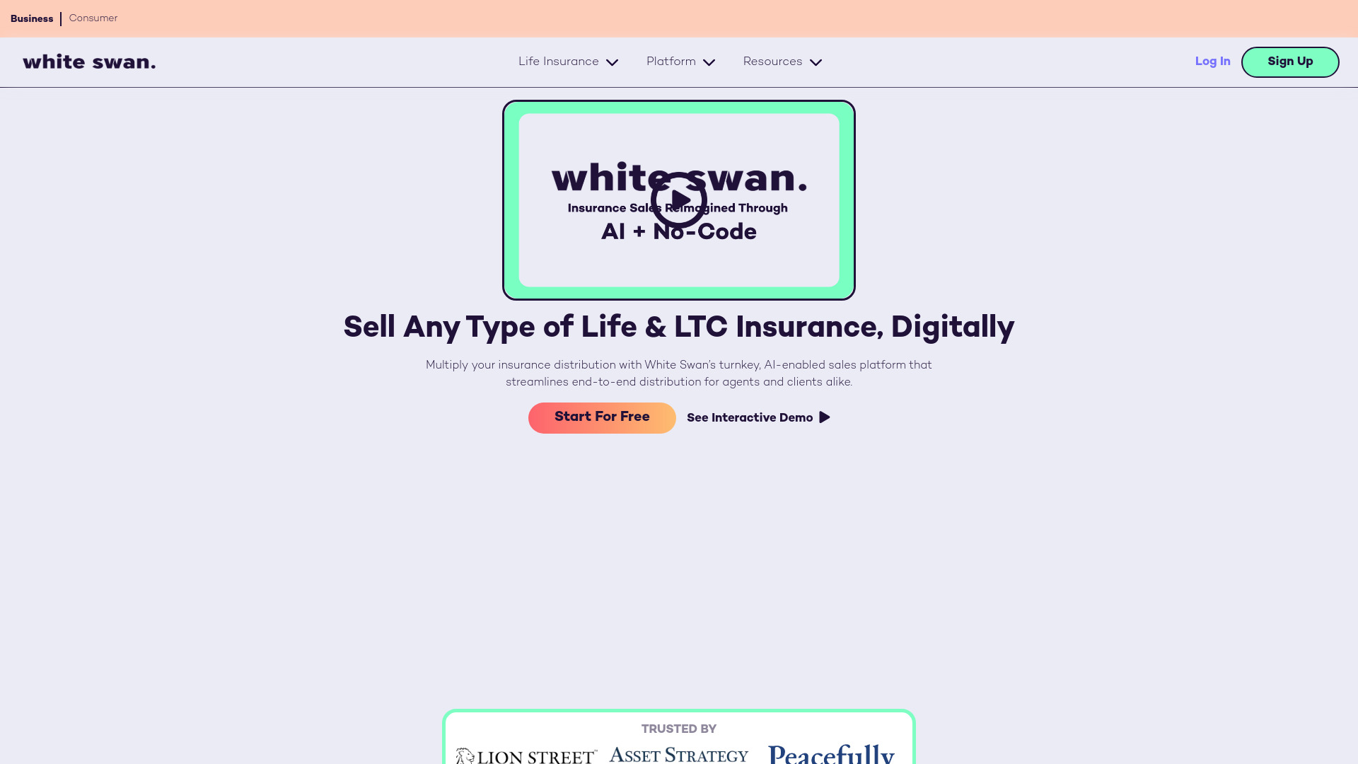 Startup Image