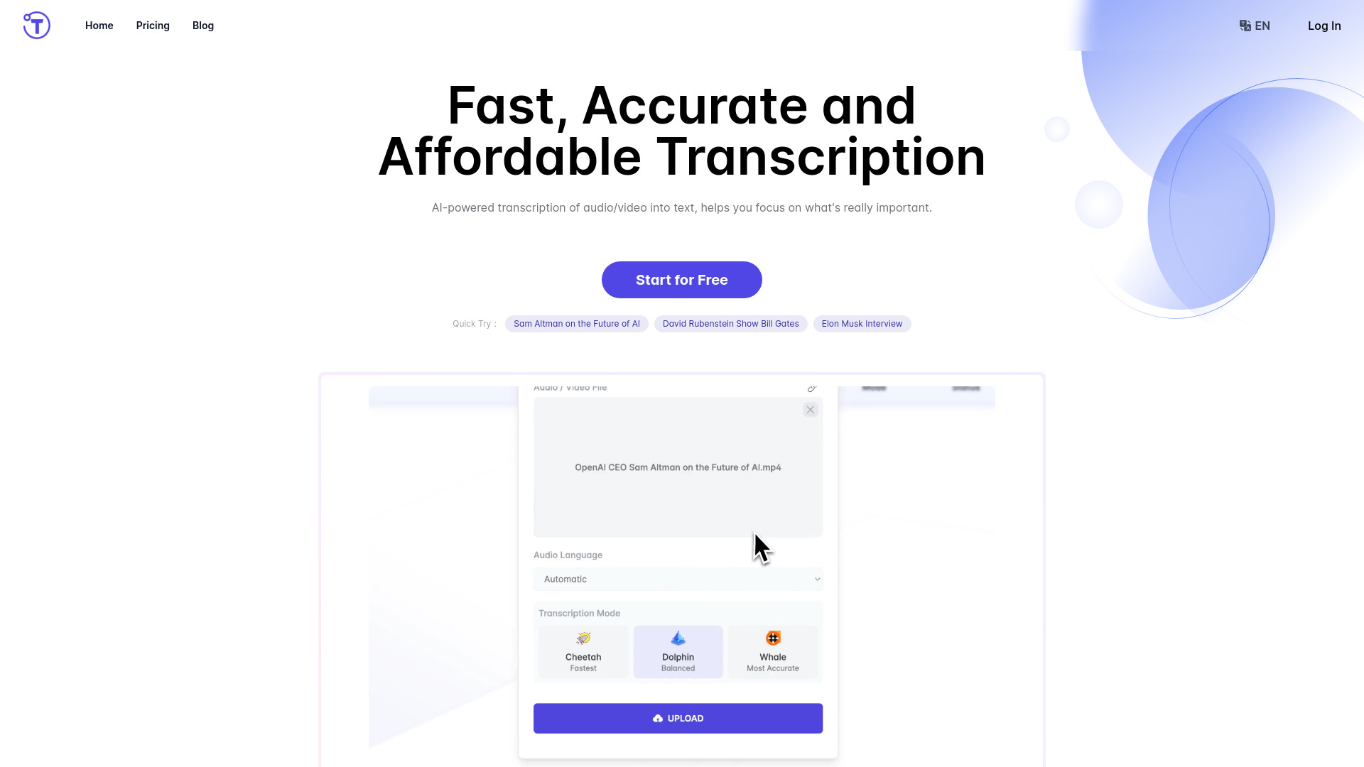 Startup Image
